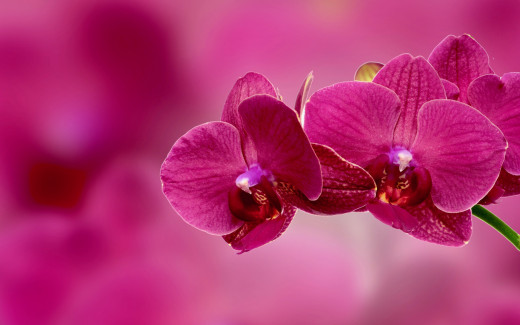 1201287 (a): :2560x1600